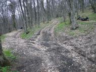 Учебне з panoramio.com