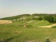 Бучина з panoramio.com