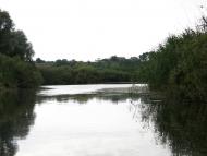 Тарасівка з panoramio.com