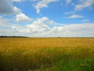 Роксолани з panoramio.com