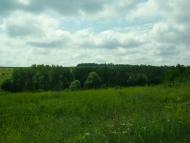 Березівка з panoramio.com