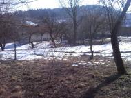 Гринів з panoramio.com