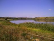 Новопетрівське з panoramio.com