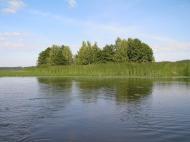 Гамарня з panoramio.com