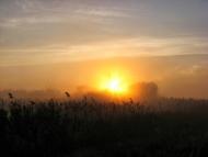 Таганка з panoramio.com