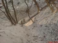 Краснодон з panoramio.com