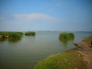 Утконосівка з panoramio.com
