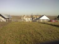 Мамалига з panoramio.com