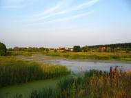 Рожів з panoramio.com