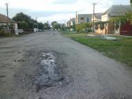 Чепа з panoramio.com