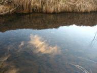 І СВІТАЄ, І СМЕРКАЄ