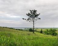 Софіївка з panoramio.com