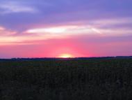 Красноріченське з panoramio.com