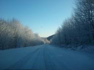 Квіткове з panoramio.com