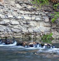 Суржинці з panoramio.com