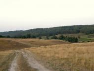 Бучина з panoramio.com