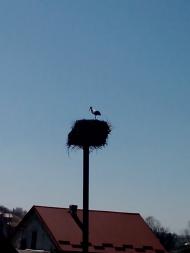 Стрілки з panoramio.com