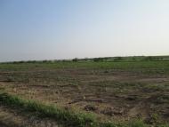 Єлизаветівка з panoramio.com