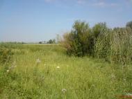 Свердловське з panoramio.com