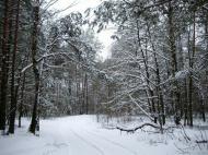 Писарева Воля - Останні фото