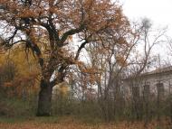 Богданівка з panoramio.com