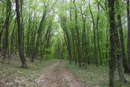 Опитне з panoramio.com