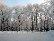 Гірник з panoramio.com