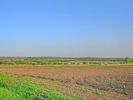 Рожеве з panoramio.com