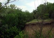 Червонодніпровка з panoramio.com