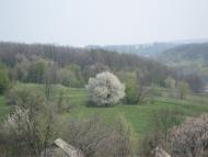 Улашівка з panoramio.com