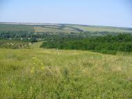 Ольгопіль з panoramio.com