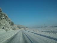 Саранчуки з panoramio.com