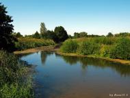 Рожів з panoramio.com