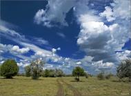 Вільне з panoramio.com