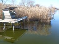 Златоустівка з panoramio.com