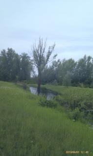 Літки з panoramio.com