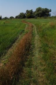 Таганка з panoramio.com