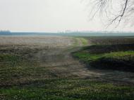 Сальниця з panoramio.com