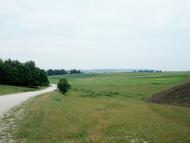 Кобилля з panoramio.com