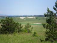 Бучина з panoramio.com