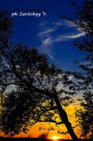 Вовків з panoramio.com