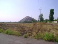 Золотарівка з panoramio.com