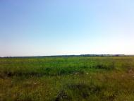 Лікареве з panoramio.com