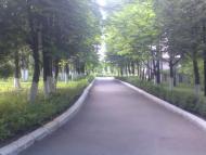 Скаржинці з panoramio.com