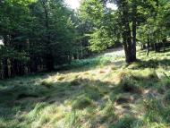 Вучкове з panoramio.com