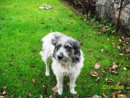 Чикалівка з panoramio.com