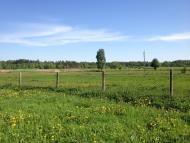 Корощине з panoramio.com