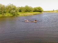 Бузаки з panoramio.com