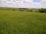 Шевченківка з panoramio.com