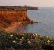 Андріївка з panoramio.com